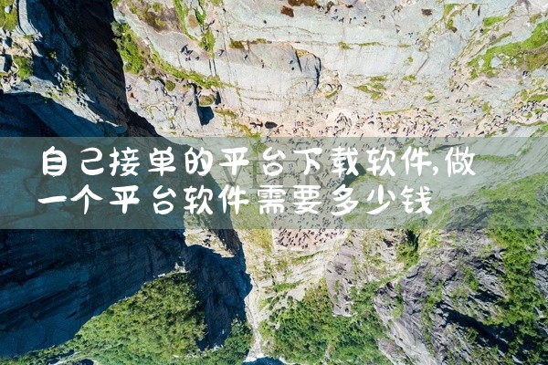 自己接单的平台下载软件