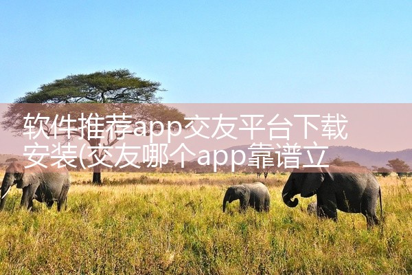 软件推荐app交友平台下载安装